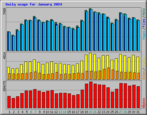Daily usage for January 2024