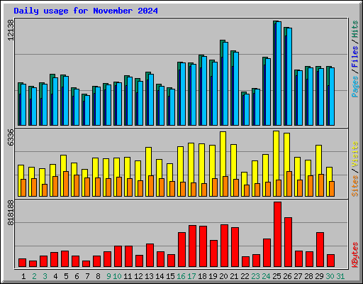 Daily usage for November 2024