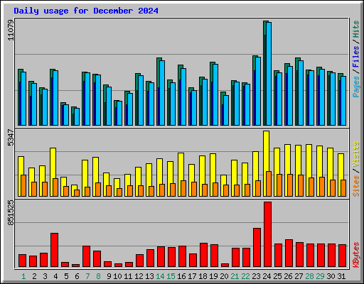 Daily usage for December 2024