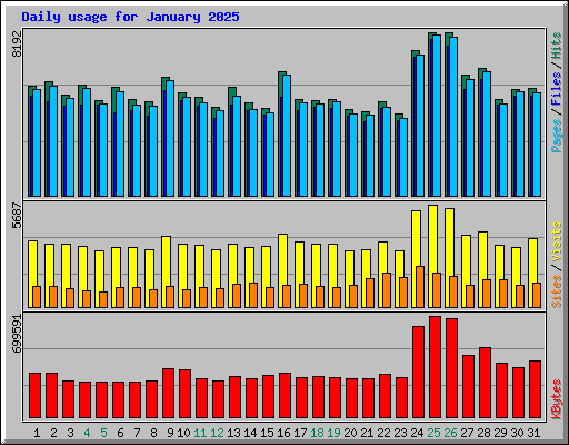 Daily usage for January 2025