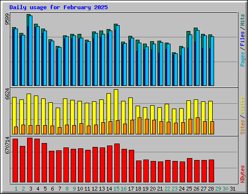 Daily usage for February 2025