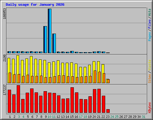 Daily usage for January 2026