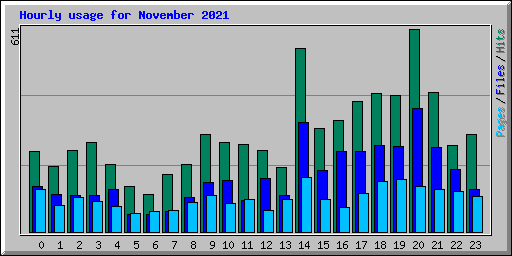 Hourly usage for November 2021