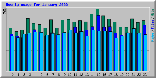 Hourly usage for January 2022