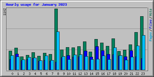 Hourly usage for January 2023