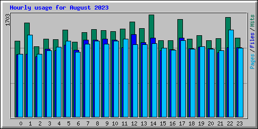 Hourly usage for August 2023