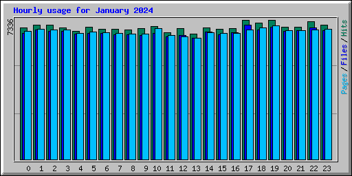 Hourly usage for January 2024