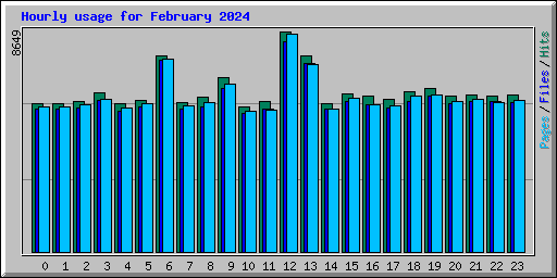 Hourly usage for February 2024