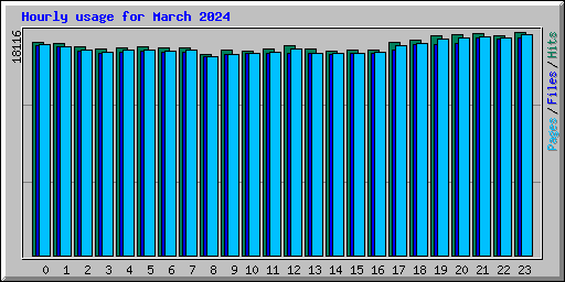 Hourly usage for March 2024