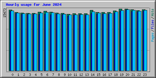 Hourly usage for June 2024