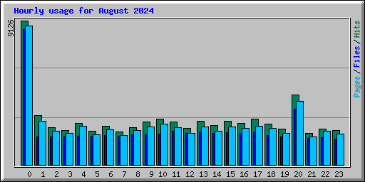 Hourly usage for August 2024