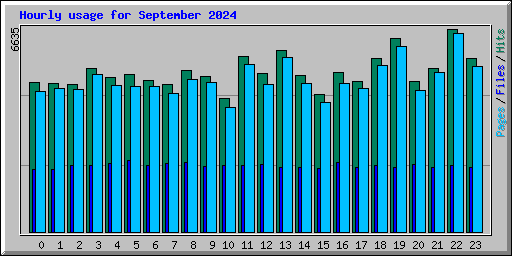 Hourly usage for September 2024