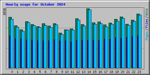 Hourly usage for October 2024