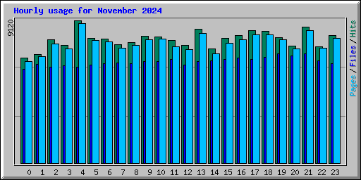 Hourly usage for November 2024