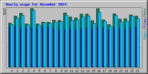 Hourly usage for December 2024