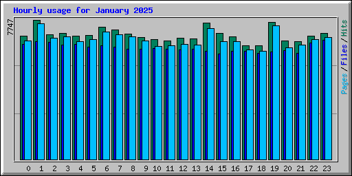 Hourly usage for January 2025
