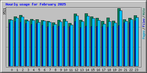 Hourly usage for February 2025