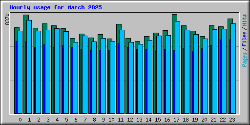 Hourly usage for March 2025