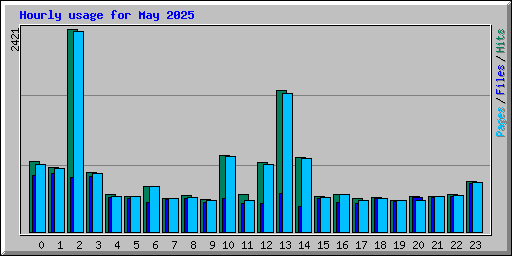 Hourly usage for May 2025