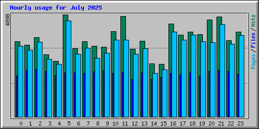 Hourly usage for July 2025