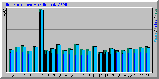 Hourly usage for August 2025