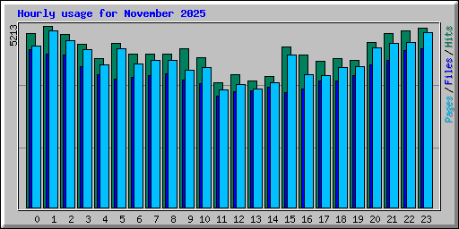 Hourly usage for November 2025