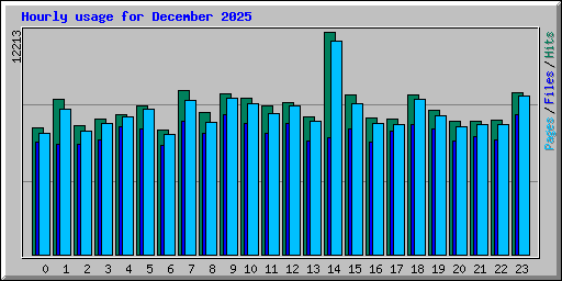Hourly usage for December 2025