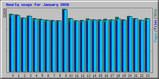 Hourly usage for January 2026
